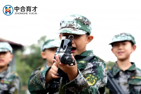 学生学习的特点可以归纳为以下几个方面