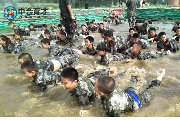 好习惯夏令营.png